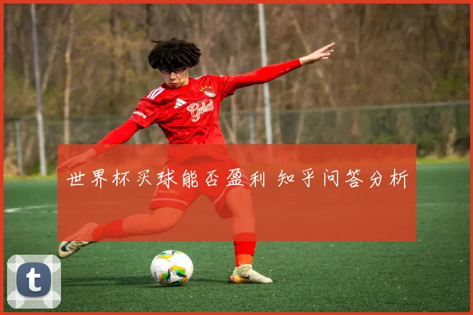 世界杯买球能否盈利 知乎问答分析