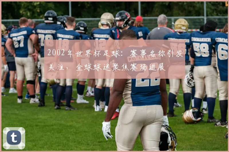 2002年世界杯足球：赛事名称引发关注，全球球迷聚焦赛场进展