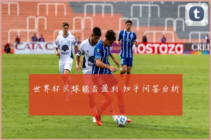 世界杯买球能否盈利 知乎问答分析